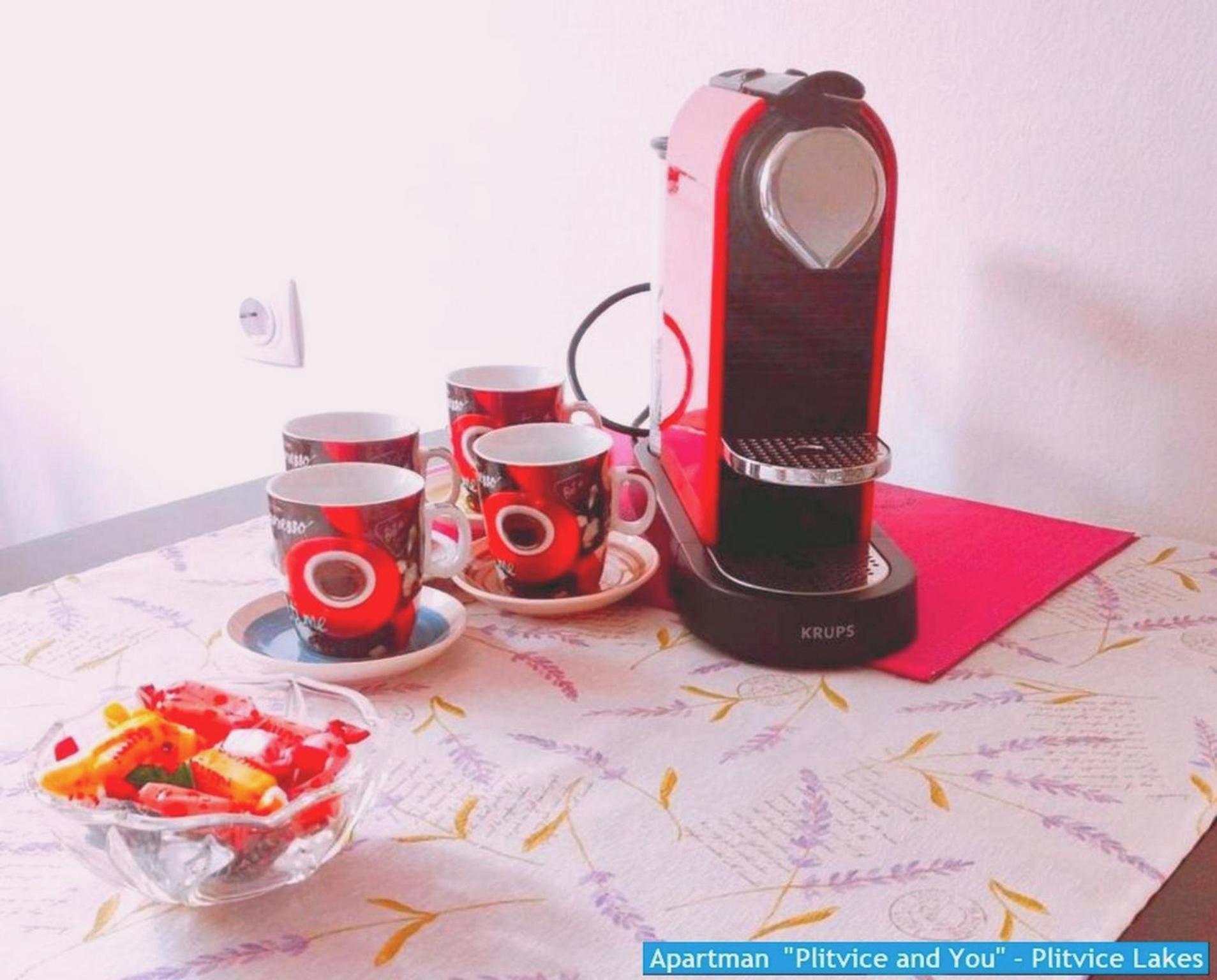 Apartman "Plitvice And You" Plitvička Jezera Buitenkant foto
